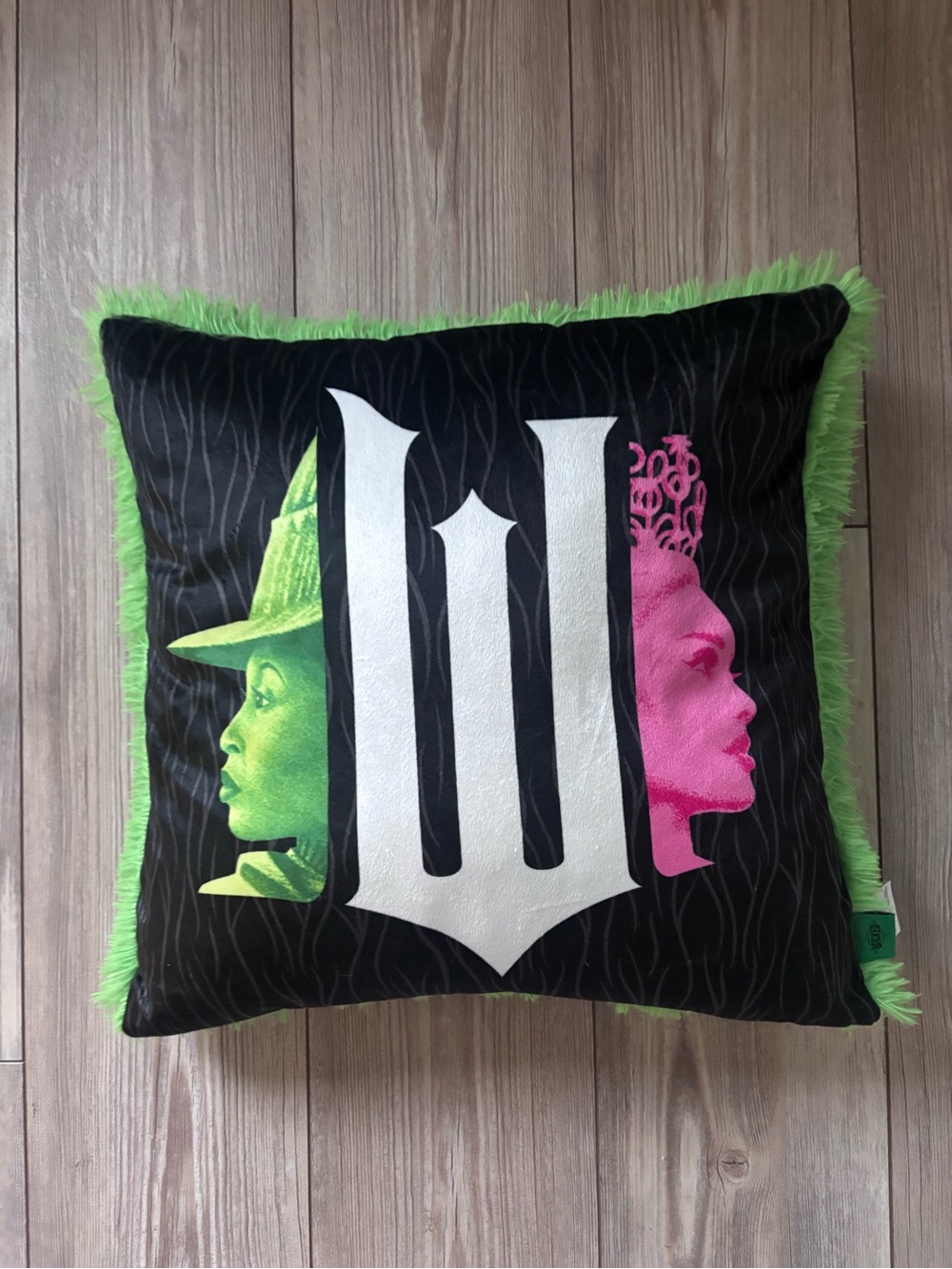 Decorative Wicked throw pillow